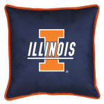 Illinois_pillow