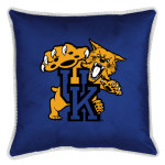 Kentucky_pillow