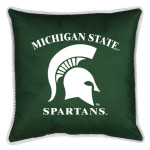 Michigan_St_pillow