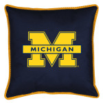 Michigan_U_pillow